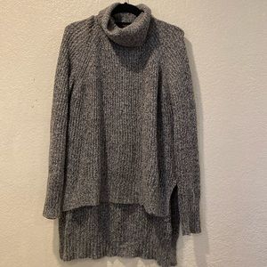 Express Turtleneck Sweater/Sweaterdress